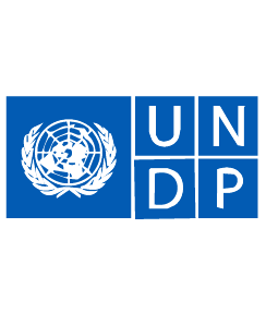 undp